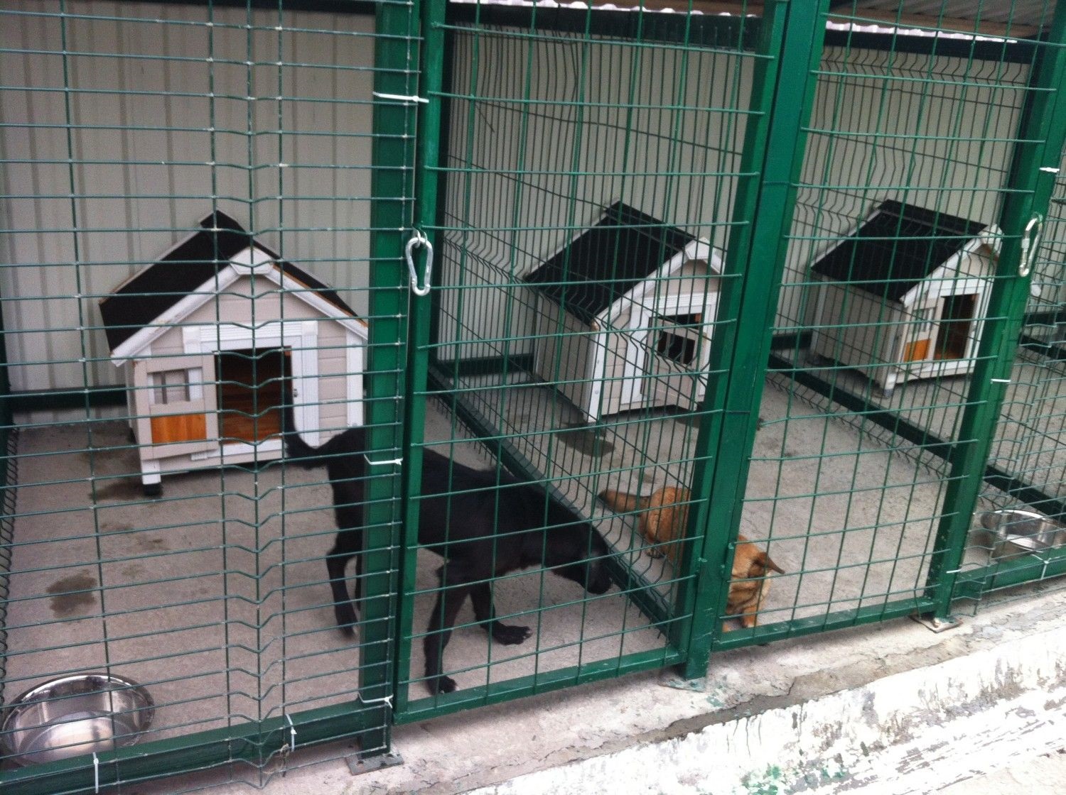 ubrat' zapakh zhivotnykh