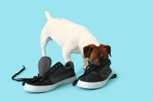 щоб взуття краще пахло щоб взуття краще пахло